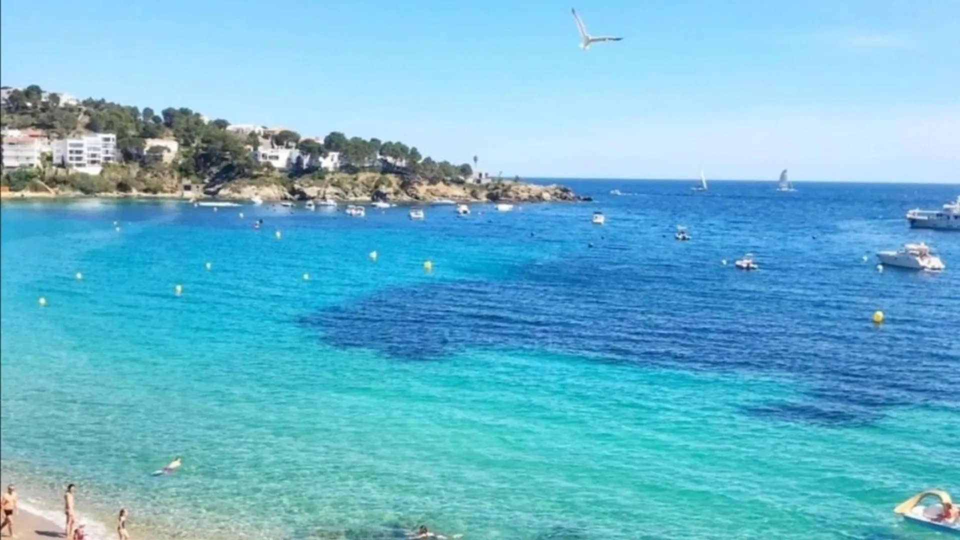 2205 - El Corsario, C Sc2, En La Mejor Cala De Rosas, Almadraba, Agua Del Mar Cristalina. Vista Al Mar, Relax, Cerca Del Camino De Ronda. - Es-258-133 Apartment